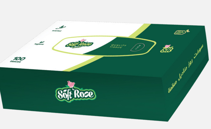 Box Pack 100 Tissues