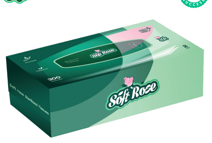 Box Pack 300 Tissues
