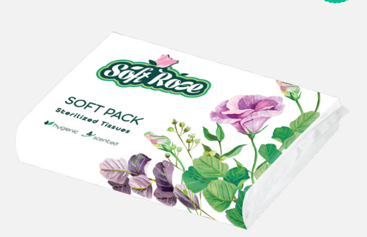 Easy Pack 100 Tissues