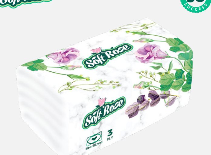 Large Pack 500 Tissues